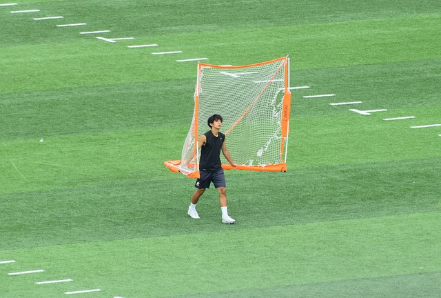 更是对整个
