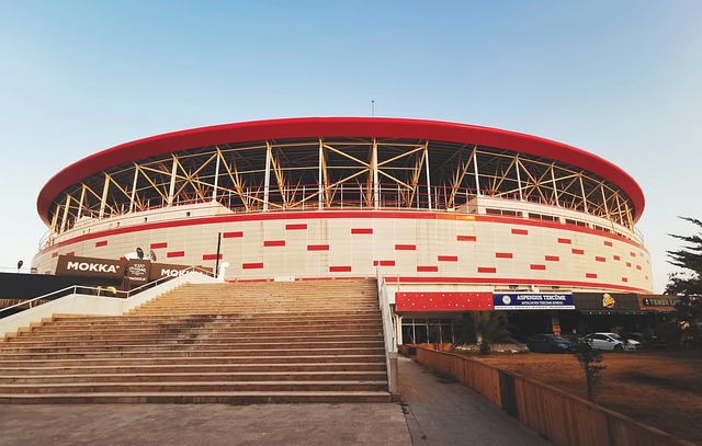 整体话语权 整体话语权