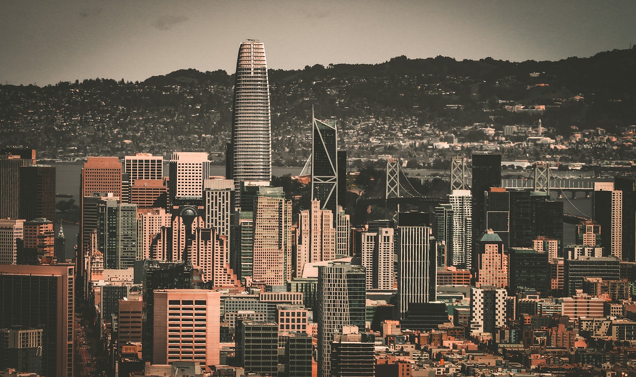 的野生物栖 的野生物栖