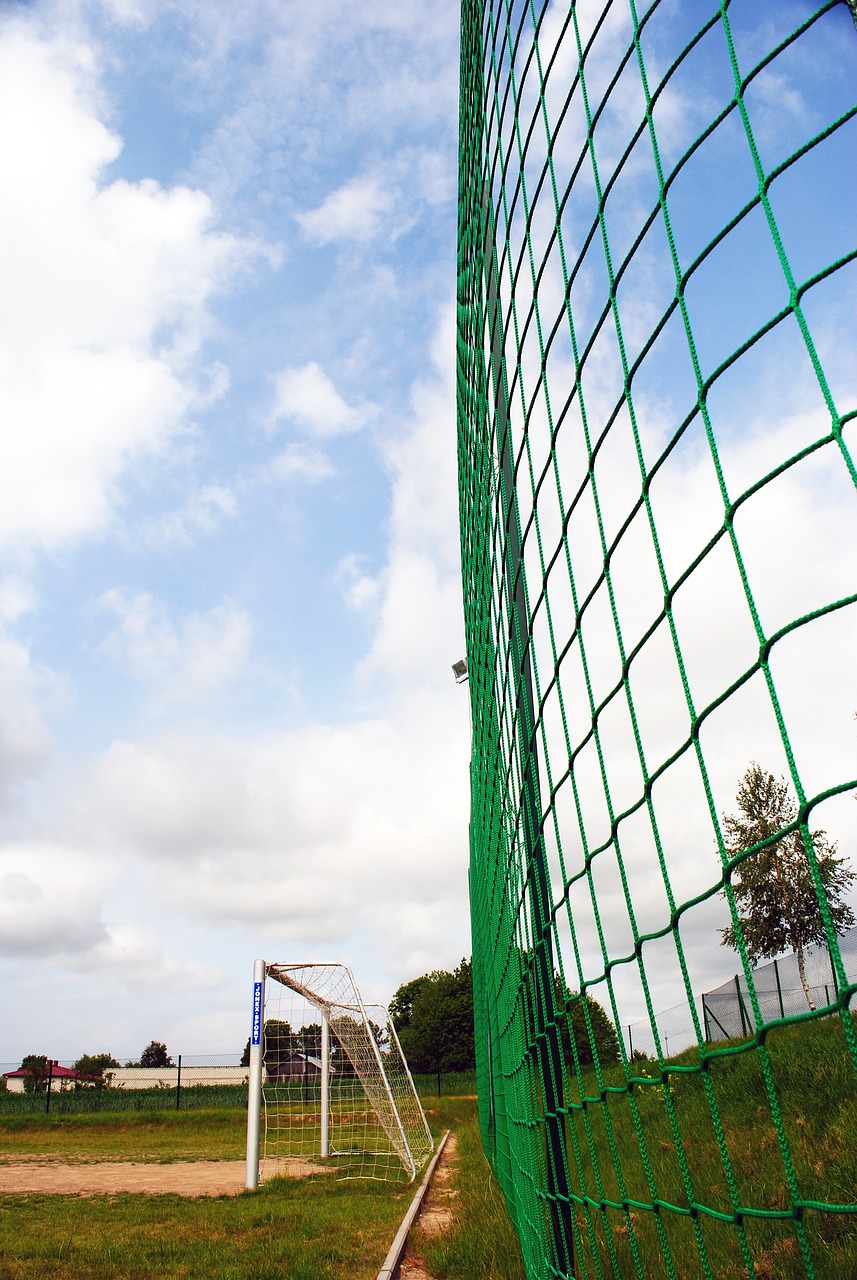 切尔西的整 切尔西的整