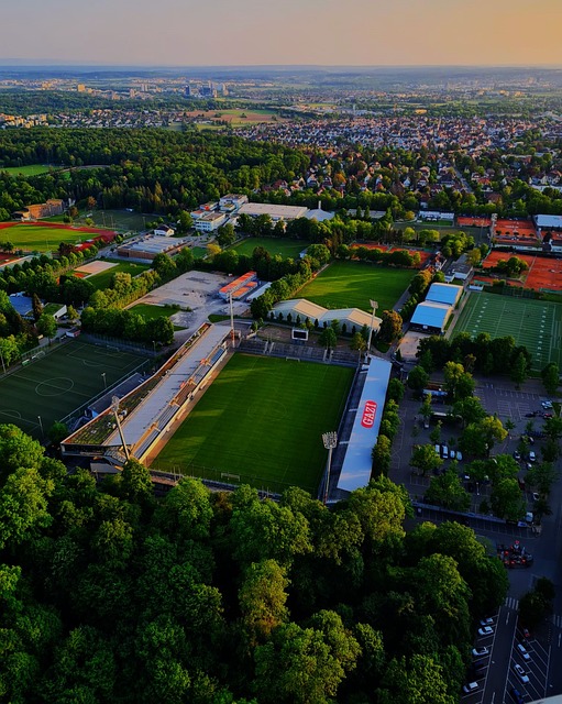 篮球智慧 篮球智慧