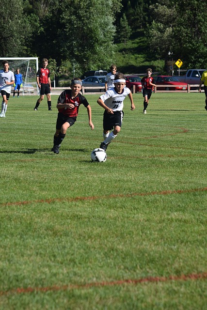 可以大大丰 可以大大丰