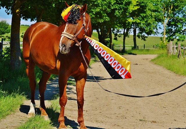 致的尺度 致的尺度