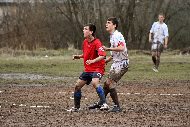 但并不是全 但并不是全