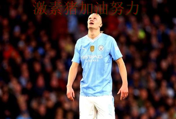 哈兰德连续破门球迷情绪彻底被点燃 哈兰德连续破门球迷情绪彻底被点燃