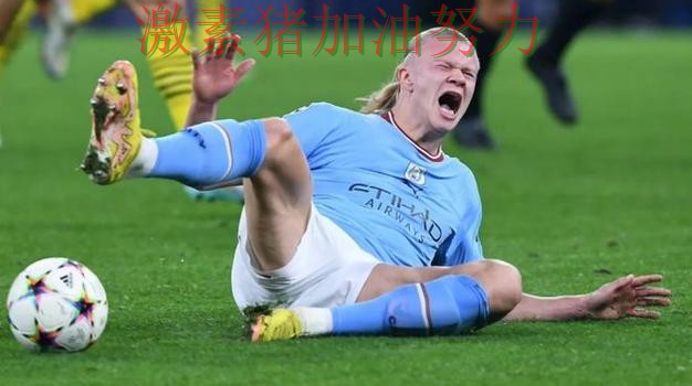 哈兰德连续破门球迷情绪彻底被点燃 哈兰德连续破门球迷情绪彻底被点燃